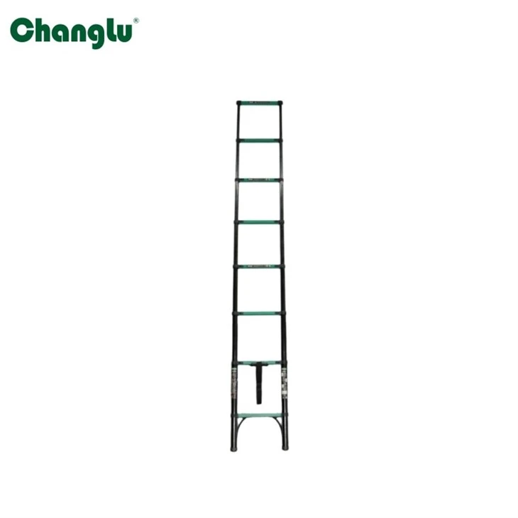 Telescoping Ladder best